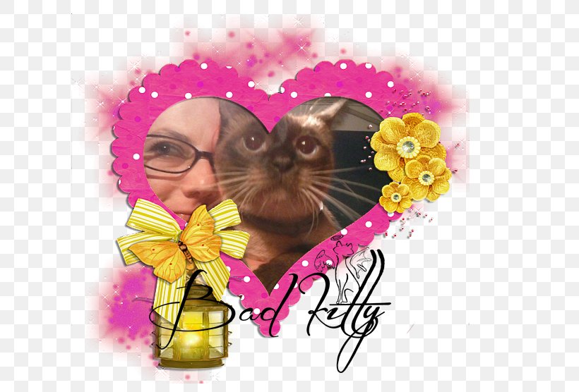 Picture Frames Graphic Design Image Photograph Illustration, PNG, 720x556px, Picture Frames, Bad Kitty, Cat, Cat Like Mammal, Craft Download Free