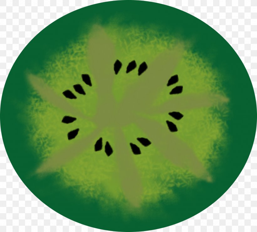Green Circle Organism, PNG, 1731x1564px, Green, Organism Download Free