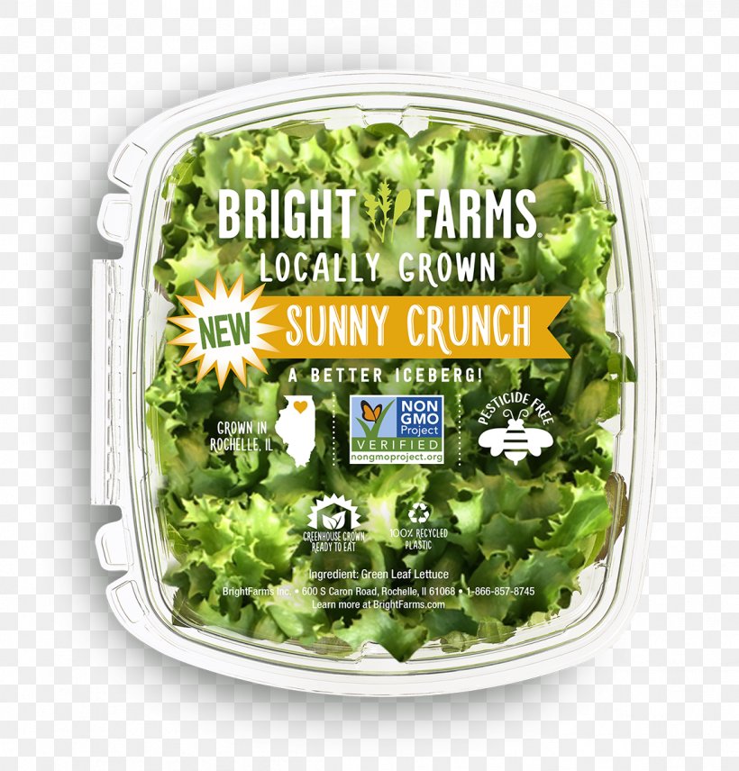 Lettuce BrightFarms Agriculture, PNG, 1149x1200px, Lettuce, Agriculture, Business, Dish, Farm Download Free