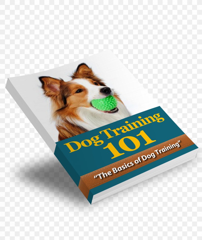 Puppy Dog Training Collar Obedience Training, PNG, 827x984px, Puppy, Advertising, Animal Training, Bark, Brand Download Free