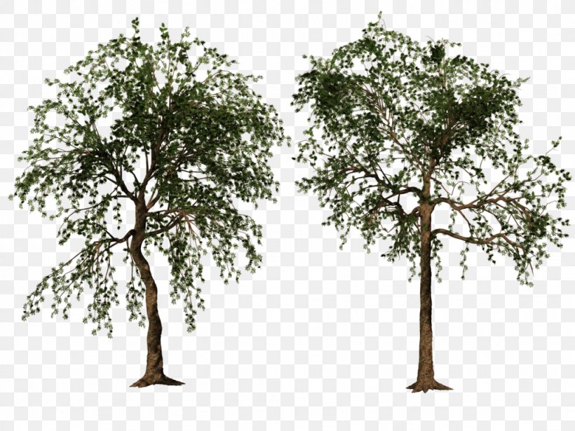 Tree DeviantArt, PNG, 1024x768px, 3d Computer Graphics, Tree, Branch, Computer Software, Deviantart Download Free