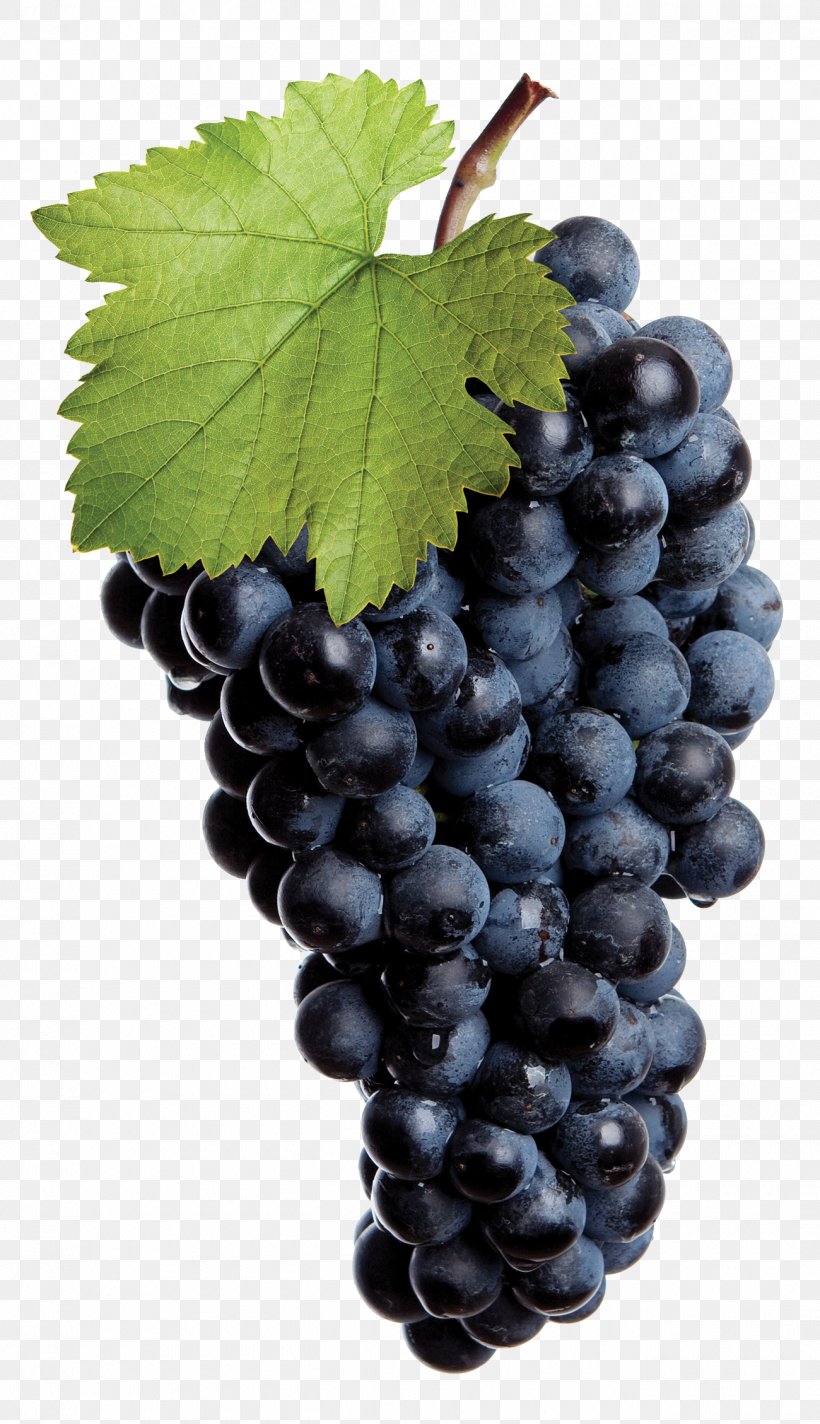 Common Grape Vine Red Wine White Wine Isabella, PNG, 1300x2258px, Common Grape Vine, Berry, Bilberry, Flowering Plant, Food Download Free