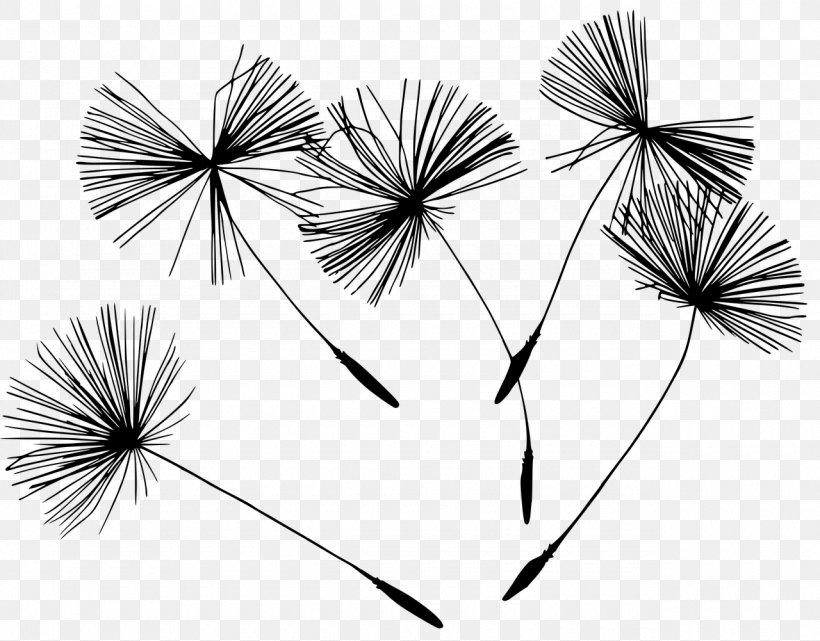 Horizons Holistic Health Clinic Drawing Photography, PNG, 1280x1001px, Horizons Holistic Health Clinic, Art, Black And White, Branch, Dandelion Download Free