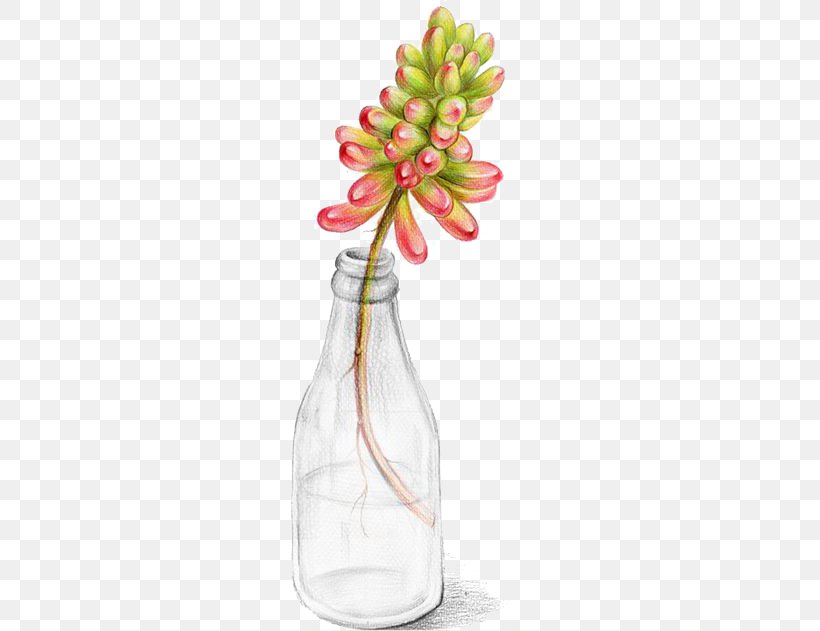 Succulent Plant Watercolor Painting Cactaceae Illustration, PNG, 580x631px, Succulent Plant, Art, Cactaceae, Creativity, Cut Flowers Download Free