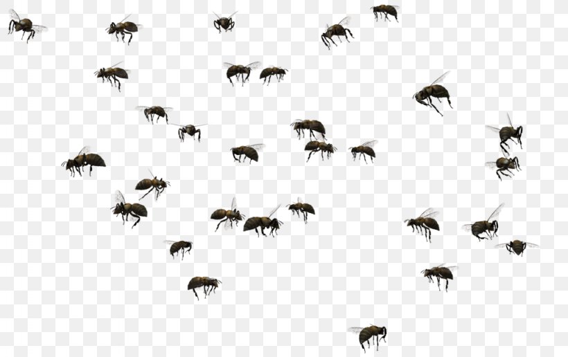 Beehive Swarming Clip Art, PNG, 1024x645px, Bee, Beehive, Beekeeping, Black And White, Drawing Download Free