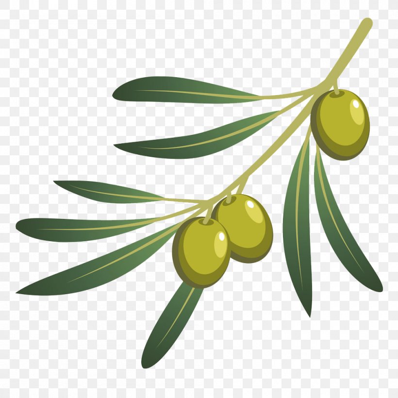 Olive Oil Olive Branch, PNG, 1000x1000px, Olive, Bottle, Branch, Cartoon, Cooking Oil Download Free