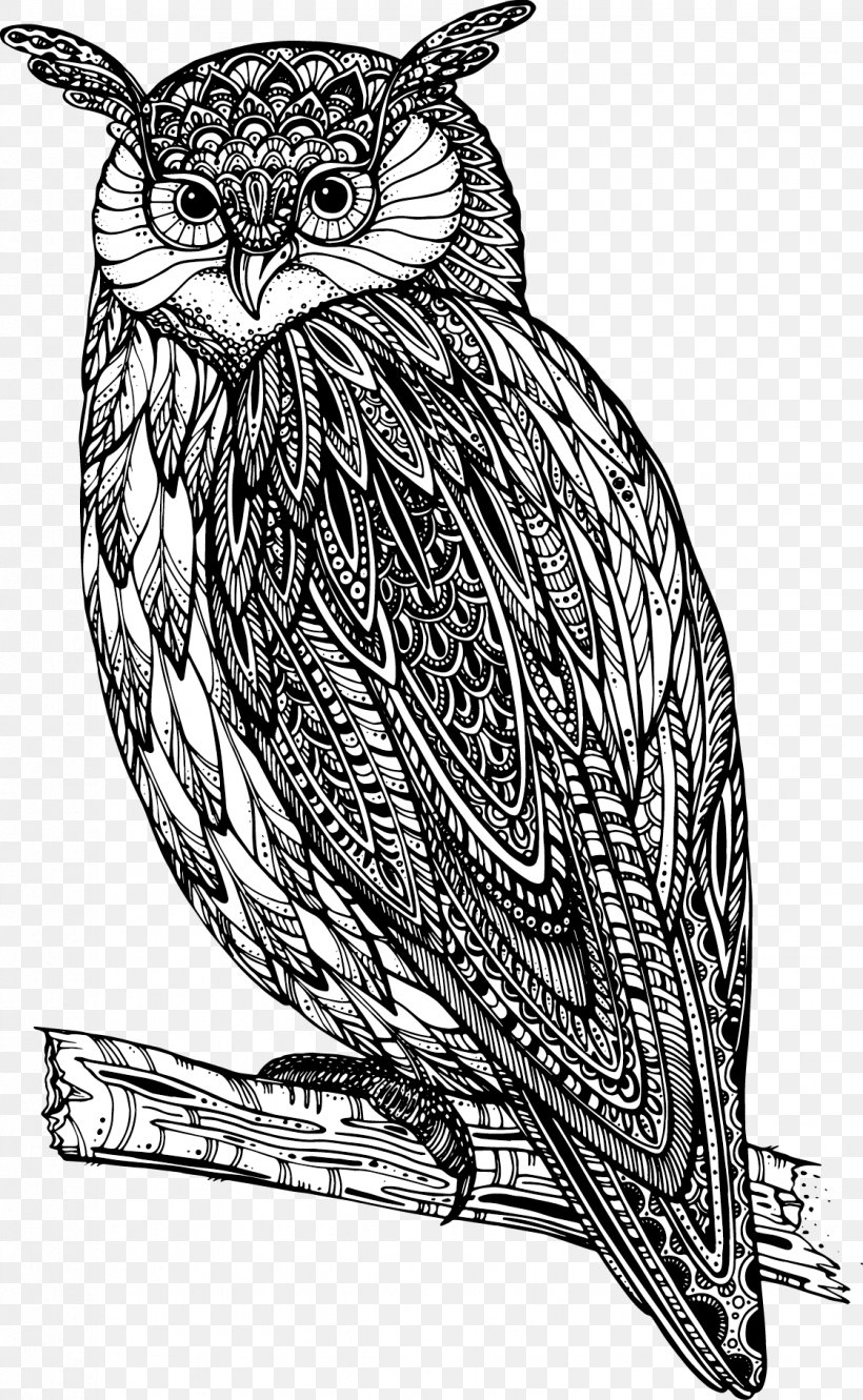 Owl Drawing Royalty-free Illustration, PNG, 1122x1822px, Owl, Art, Beak, Bird, Bird Of Prey Download Free