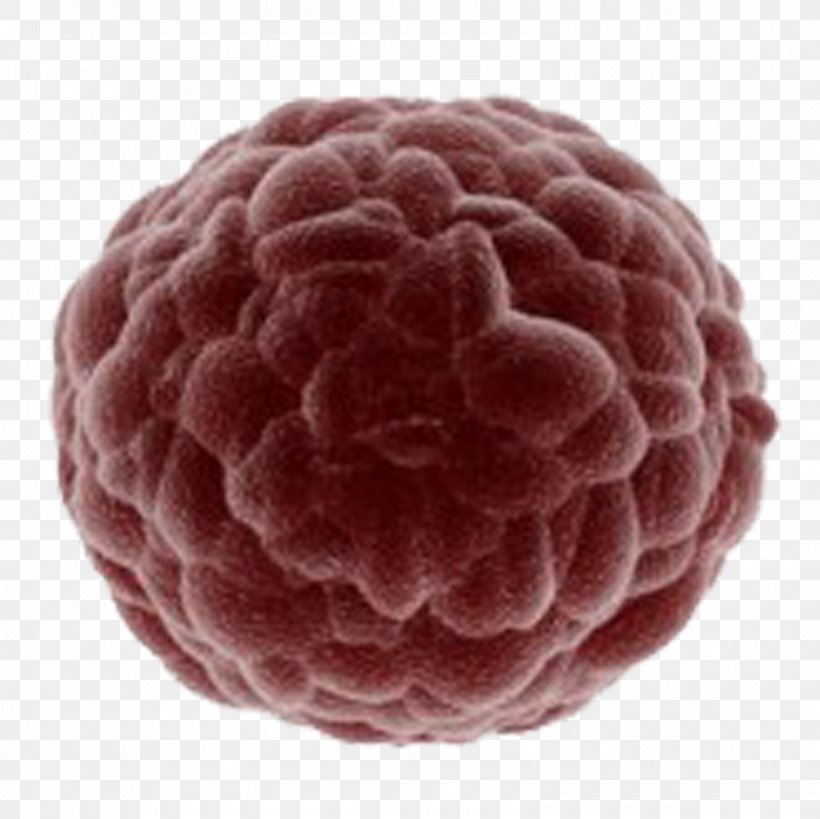 Royalty-free Image Cell Cancer Stock Photography, PNG, 1600x1600px, Royaltyfree, Berry, Cancer, Cell, Cell Culture Download Free