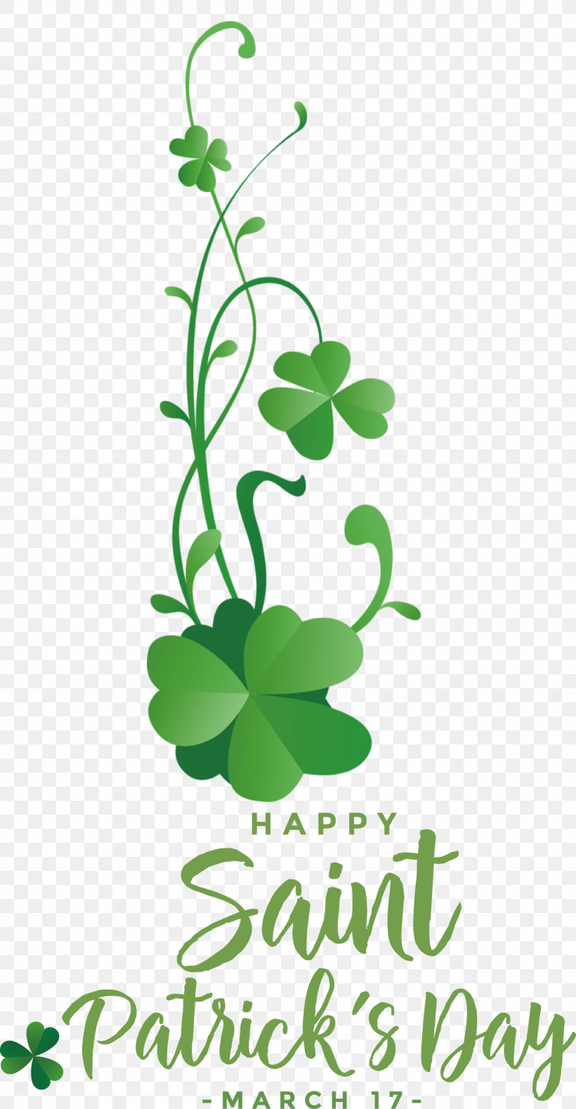 St Patricks Day Saint Patrick Happy Patricks Day, PNG, 1557x3000px, St Patricks Day, Clover, Floral Design, Flower, Green Download Free