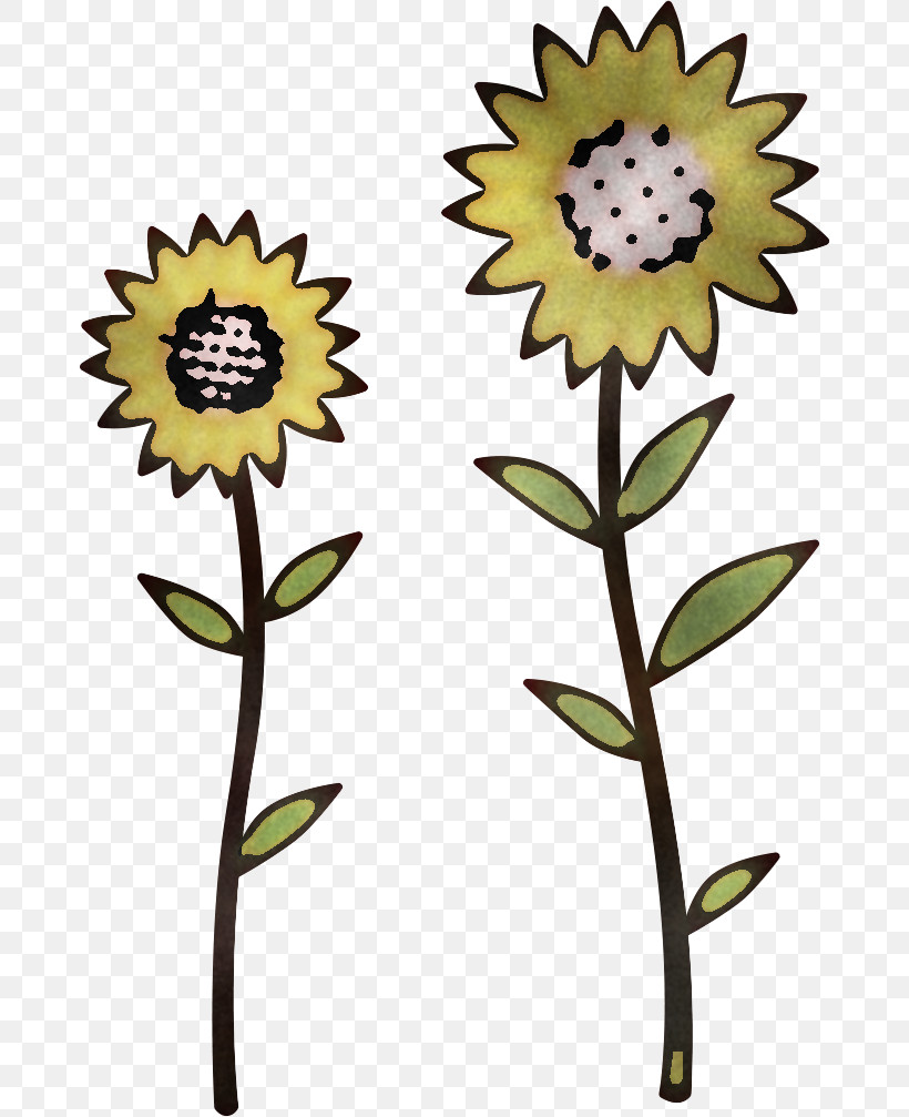 Sunflower Summer Flower, PNG, 678x1007px, Sunflower, Biology, Common Sunflower, Cut Flowers, Flower Download Free