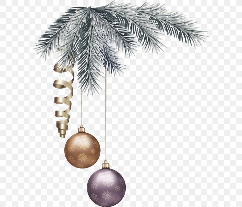 Fir Christmas Decoration Arecaceae Christmas Ornament Tree, PNG, 600x700px, Fir, Arecaceae, Arecales, Branch, Branching Download Free