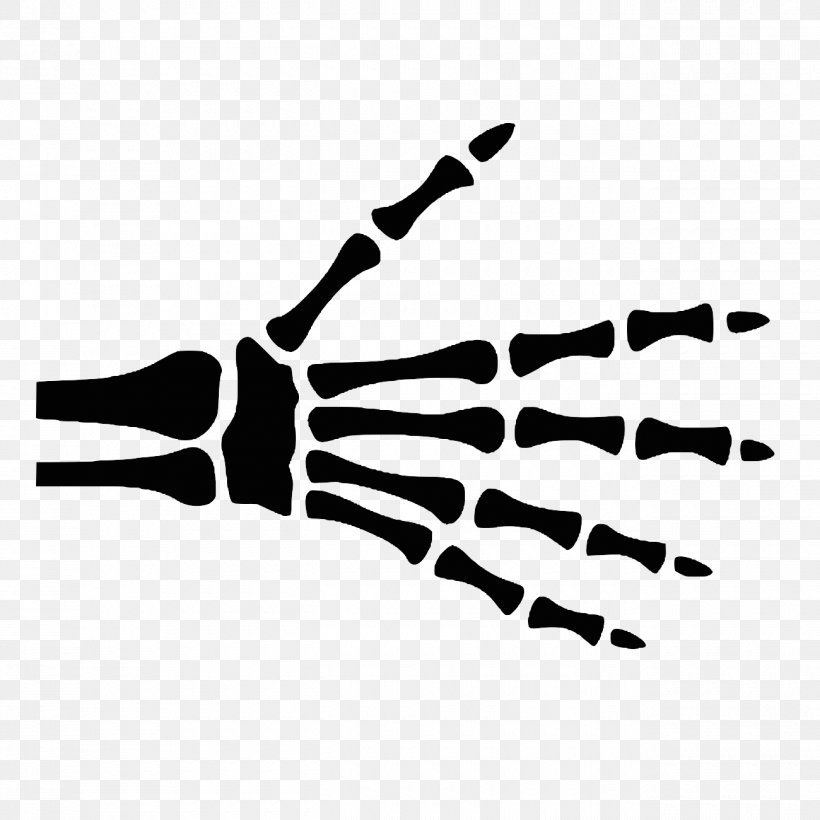 Hand Finger Radiographic Anatomy Bone, PNG, 1300x1300px, Hand, Anatomy, Black, Black And White, Bone Download Free