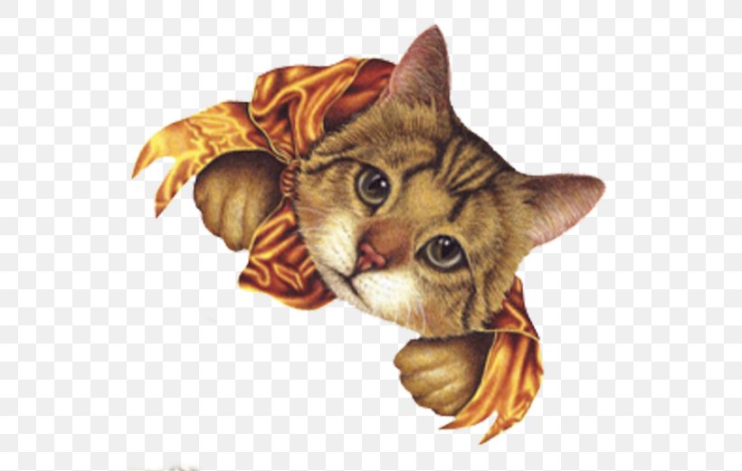 Kitten Whiskers Tabby Cat, PNG, 537x521px, Kitten, Animal, Carnivoran, Cat, Cat Like Mammal Download Free