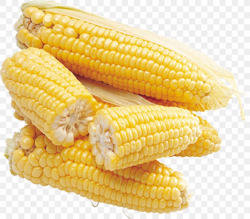 Maize Clip Art, PNG, 1605x1409px, Maize, Commodity, Corn Kernels, Corn On The Cob, Cuisine Download Free