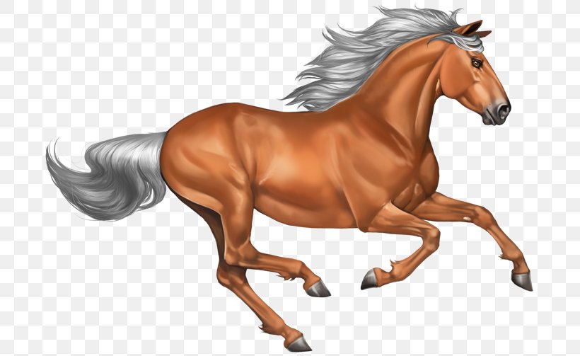 Mustang Pony Stallion, PNG, 700x503px, Mustang, Animal, Animal Figure, Bridle, Domestic Animal Download Free