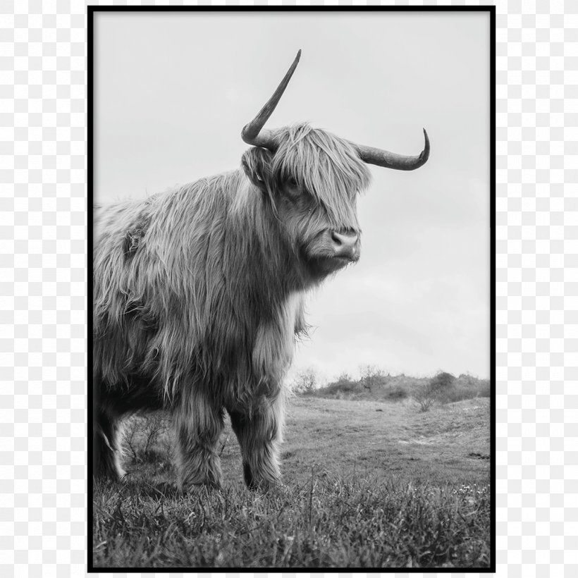 Royalty-free Cattle Cottage, PNG, 1200x1200px, Royaltyfree, Black And White, Bull, Business, Cattle Download Free
