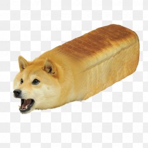 Roblox Corporation Doge Dog Breed Png 750x650px Roblox