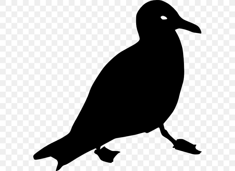 Download Clip Art, PNG, 588x597px, Drawing, Art, Beak, Bird, Black And White Download Free