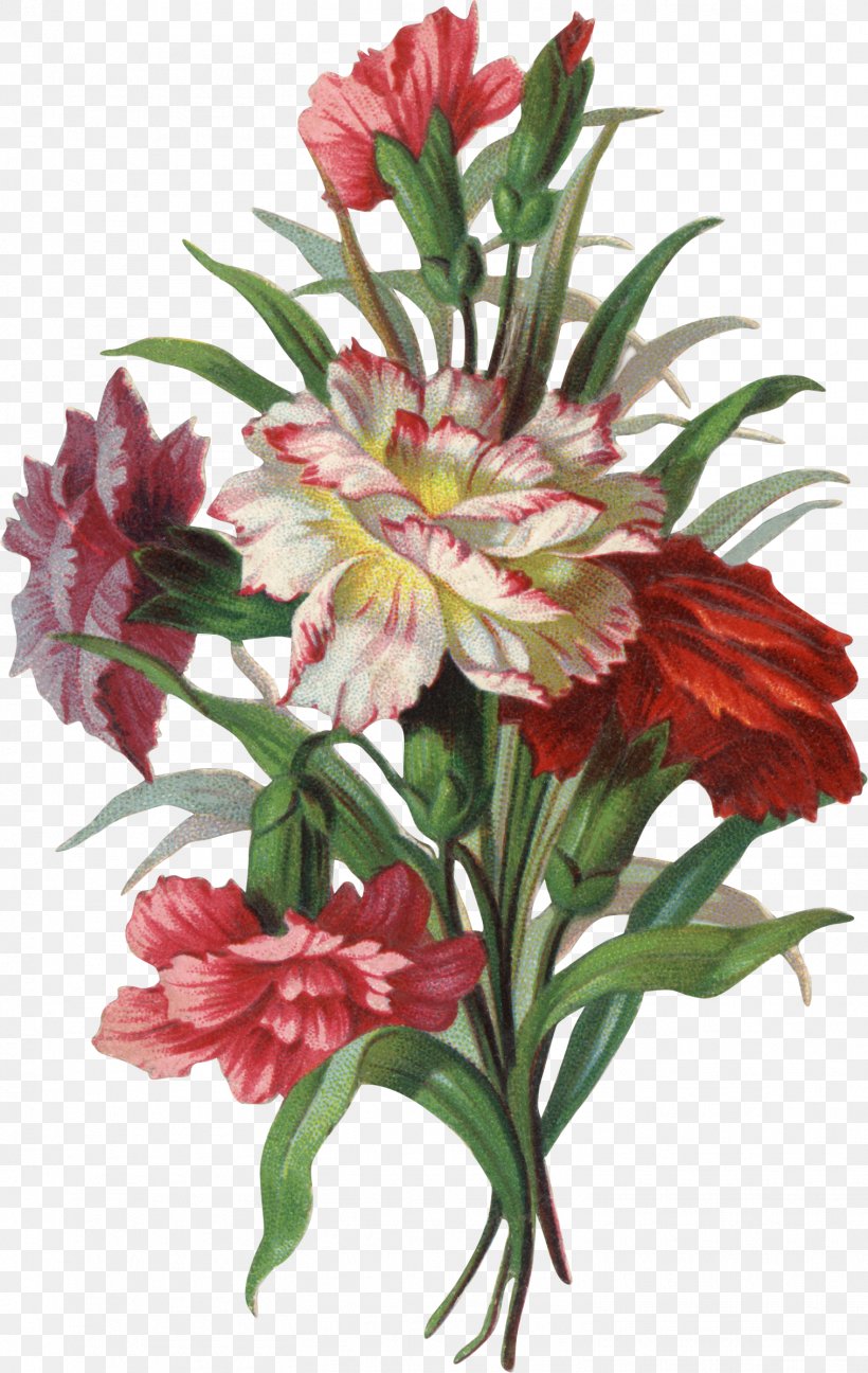 Flower Victorian Era Photography Clip Art, PNG, 1516x2397px, Flower, Alstroemeriaceae, Cut Flowers, Floral Design, Floristry Download Free