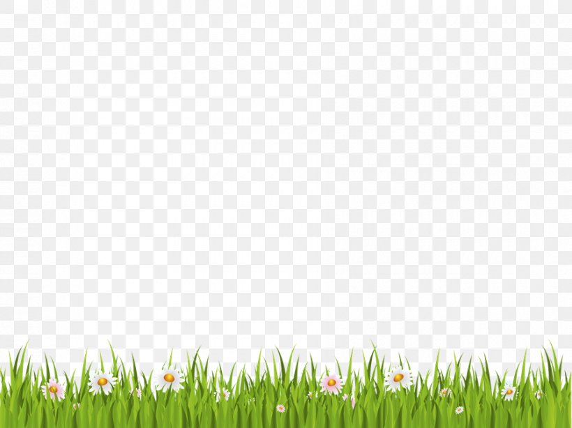 Green Grass Background, PNG, 900x674px, Lawn, Artificial Turf, Flower, Garden, Grass Download Free