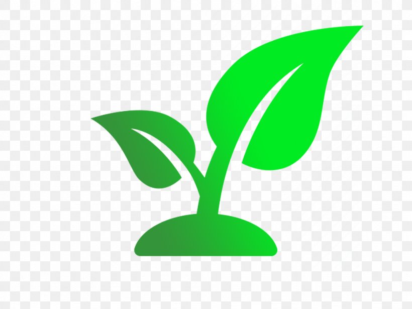 Leaf Seedling Champaign-Urbana Community Fab Lab Plant Stem, PNG, 1024x768px, Leaf, Germination, Grass, Green, Landscape Maintenance Download Free