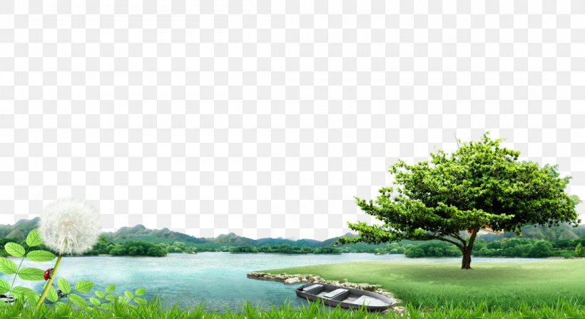 China Lake Fukei Landscape, PNG, 1100x600px, China, Branch, Ecosystem, Flora, Fukei Download Free