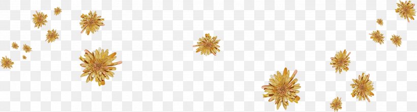 Flower Brown, PNG, 2844x769px, Flower, Branch, Brown, Color, Commodity Download Free