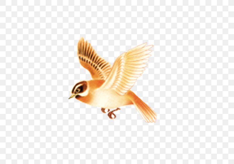 Bird Flight Bird Flight Beak, PNG, 576x576px, Bird, Beak, Bird Flight, Bird Nest, Drawing Download Free