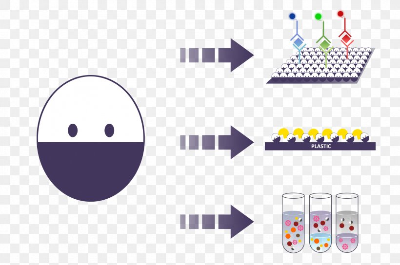 International Genetically Engineered Machine Detergent Polymer Technology DNA Extraction, PNG, 2362x1569px, Detergent, Adsorption, Area, Brand, Diagram Download Free