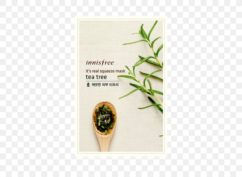 Tea Tree Oil Innisfree Mask Tea Plant, PNG, 600x600px, Tea Tree Oil, Camellia, Cosmetics, Cosmetics In Korea, Facial Download Free