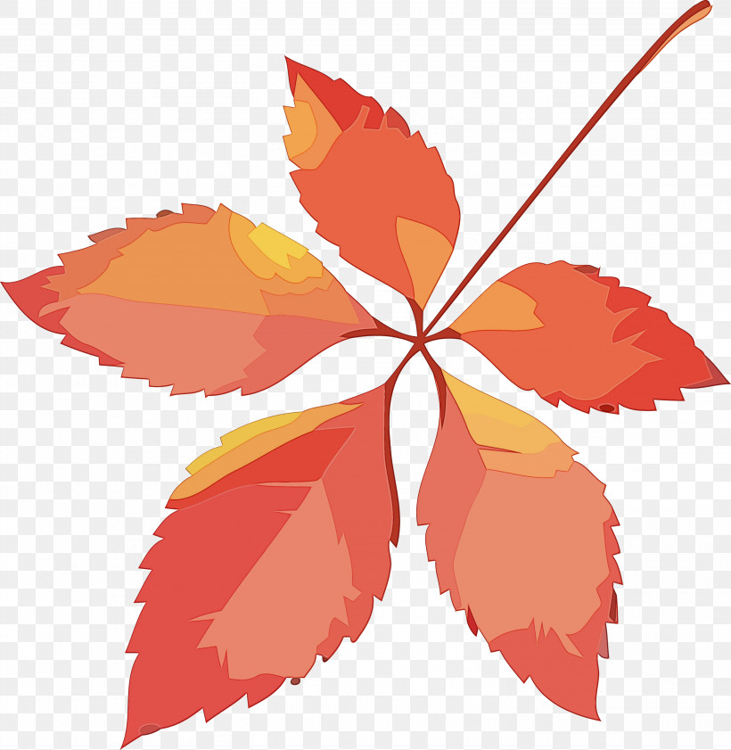 Maple Leaf, PNG, 2944x3020px, Autumn Leaf, Leaf, Maple Leaf, Orange, Paint Download Free