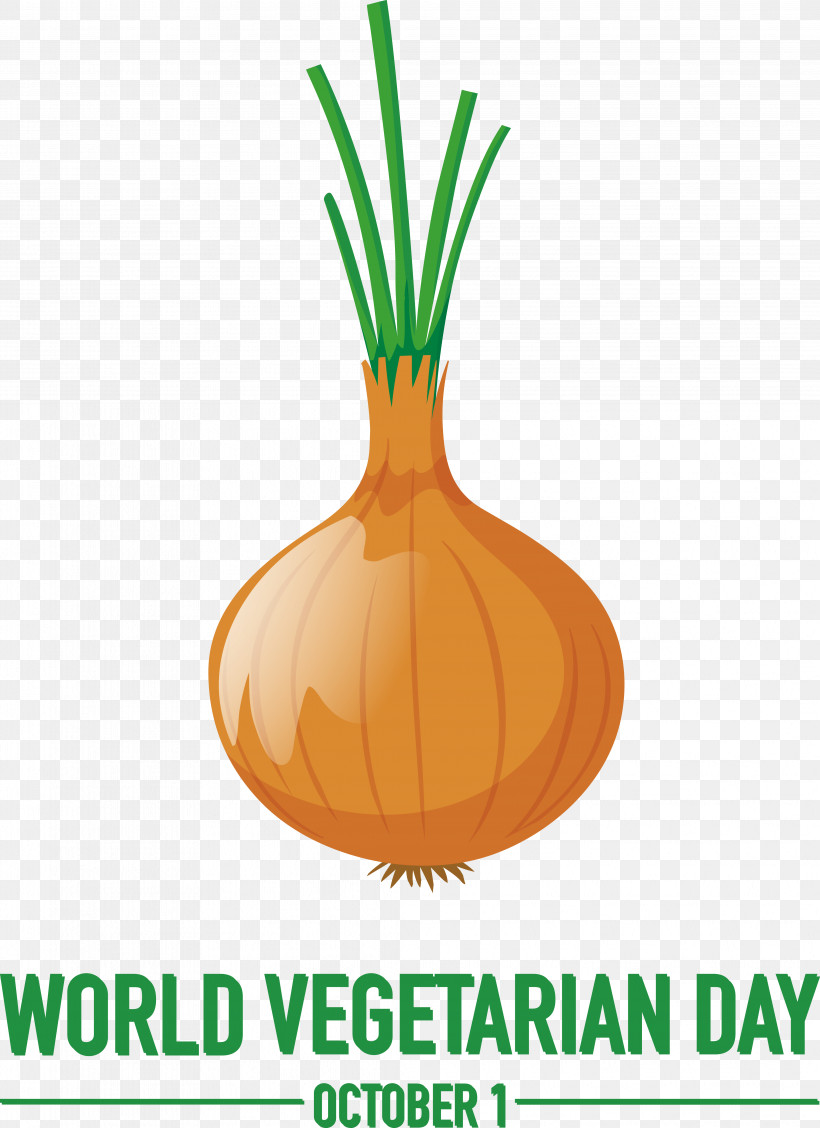 Plant Onion Squash Line Supermoto, PNG, 4137x5693px, Plant, Biology, Geometry, Line, Mathematics Download Free