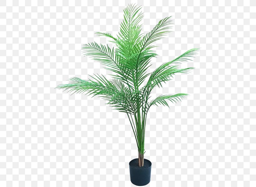 Artificial Flower Date Palm Flowerpot Plant, PNG, 800x600px, Artificial Flower, Arecales, Date Palm, Date Palms, Elaeis Download Free