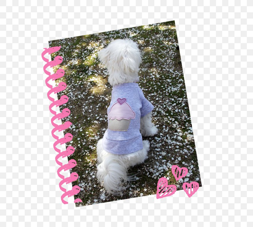 Dog Pink M Clothing, PNG, 600x737px, Dog, Carnivoran, Clothing, Dog Clothes, Dog Like Mammal Download Free
