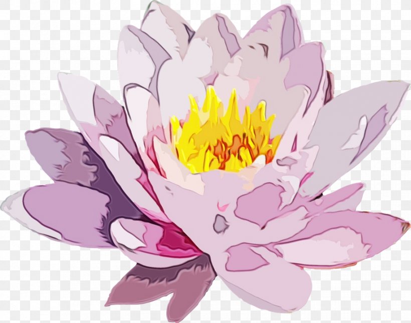 Lotus, PNG, 914x720px, Watercolor, Aquatic Plant, Flower, Flowering Plant, Fragrant White Water Lily Download Free