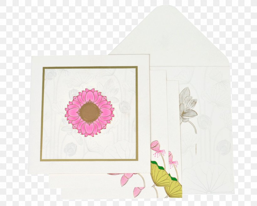Paper Picture Frames Pink M Rectangle RTV Pink, PNG, 1000x800px, Paper, Flower, Petal, Picture Frame, Picture Frames Download Free