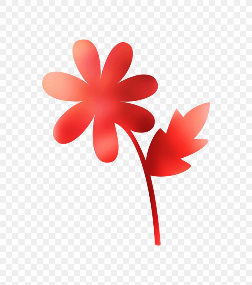 RED.M, PNG, 1500x1700px, Redm, Botany, Flower, Pedicel, Petal Download Free