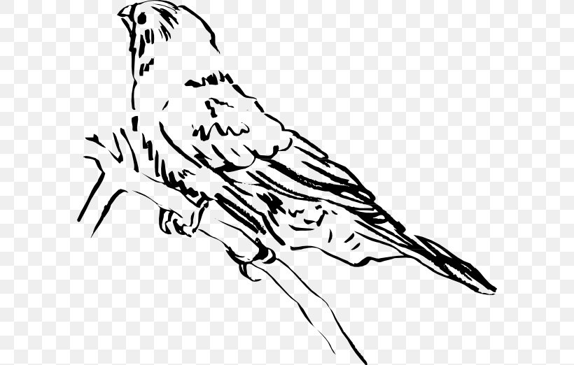 Beak Clip Art Bird Lark Image, PNG, 600x522px, Beak, Animal, Art, Artwork, Bird Download Free