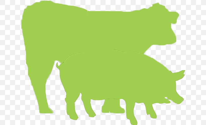 Cattle Colegio Oficial De Veterinarios De Toledo Pig Veterinary Medicine Sheep, PNG, 670x500px, Cattle, Animal, Animal Figure, Bovine, Dog Download Free