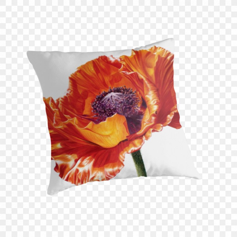 Poppy Watercolor Painting Artist Mixed Media, PNG, 875x875px, Poppy, Art, Artist, Cushion, Drawing Download Free