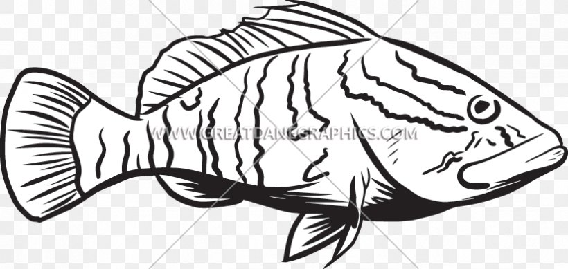 Fish Grouper Line Art Black Sea Bass Clip Art, PNG, 825x392px, Fish, Animal, Artwork, Bass, Black Download Free