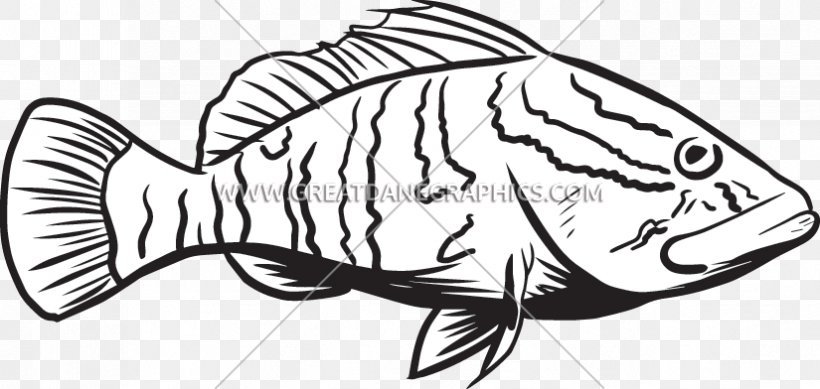 concert clipart black and white fish