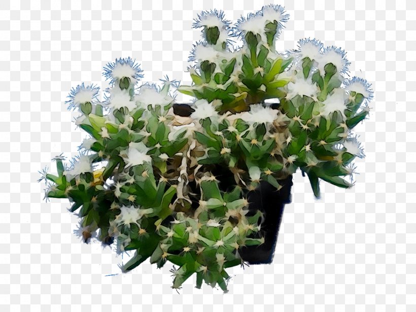 Flowerpot Houseplant Tree Shrub, PNG, 1280x960px, Flower, Bellflower, Bouquet, Branch, Cut Flowers Download Free