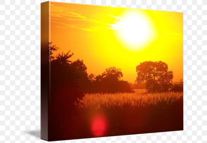 Heat Sunlight Kolej Tuanku Ja'afar Picture Frames Morning, PNG, 650x570px, Heat, Dawn, Landscape, Morning, Orange Download Free