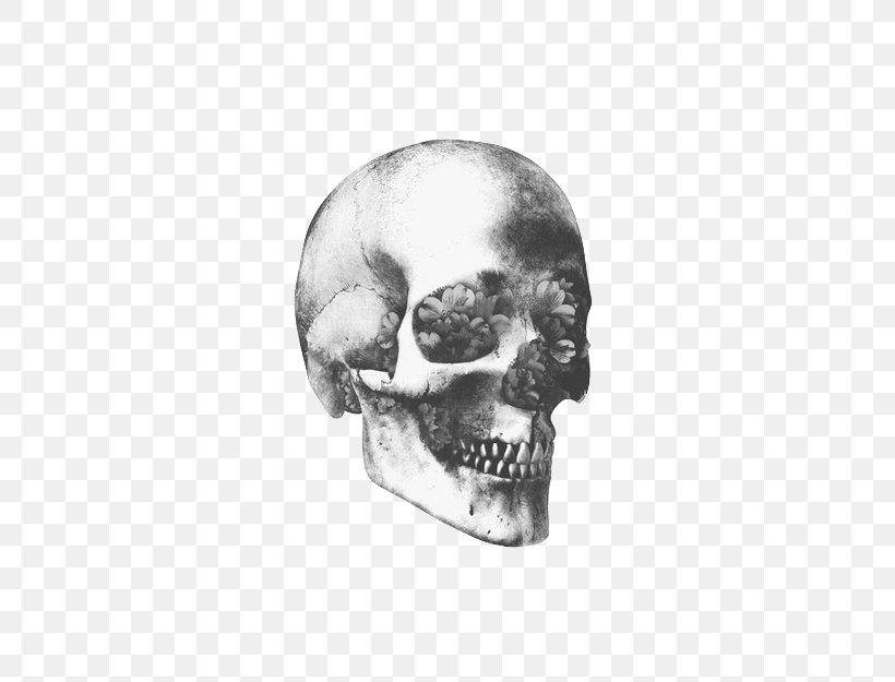 Skull Art Human Skeleton Human Skull Symbolism, PNG, 500x625px, Skull, Art, Black And White, Bone, Drawing Download Free