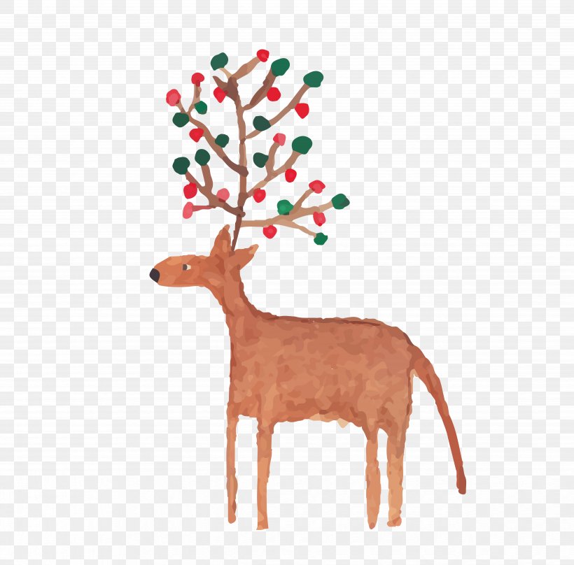 Deer Christmas, PNG, 4952x4885px, Deer, Antler, Branch, Christmas, Christmas Decoration Download Free