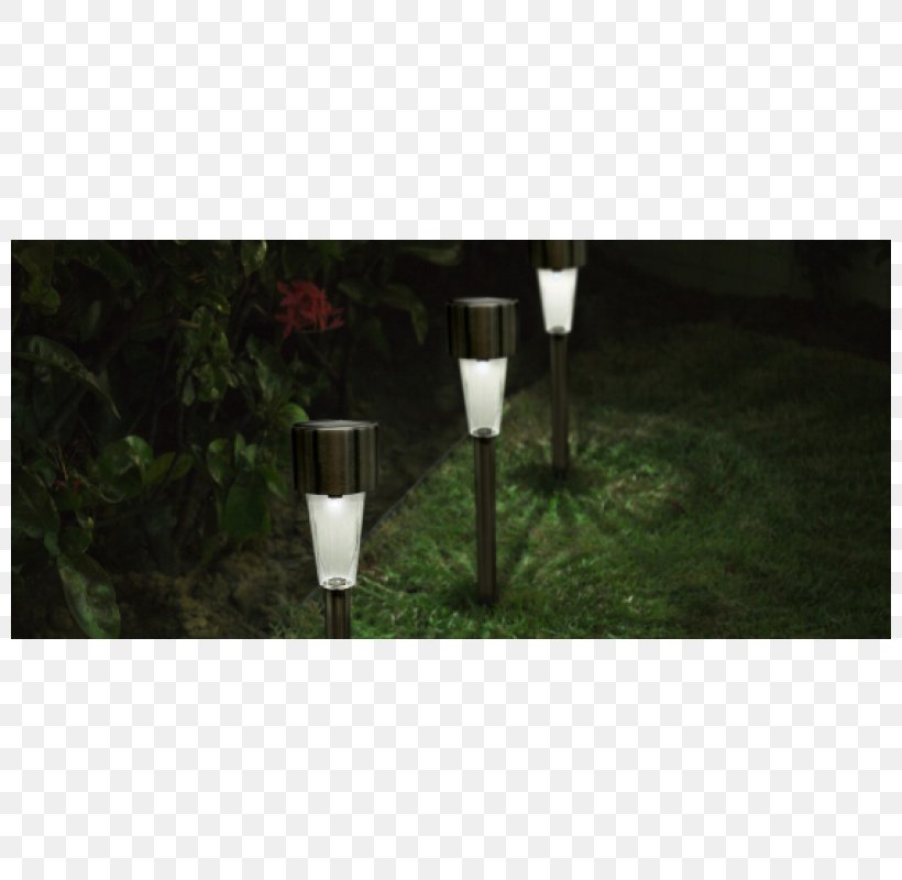Light Fixture Solar Lamp Solar Energy Stainless Steel, PNG, 800x800px, Light, Drinkware, Garden, Glass, Grass Download Free