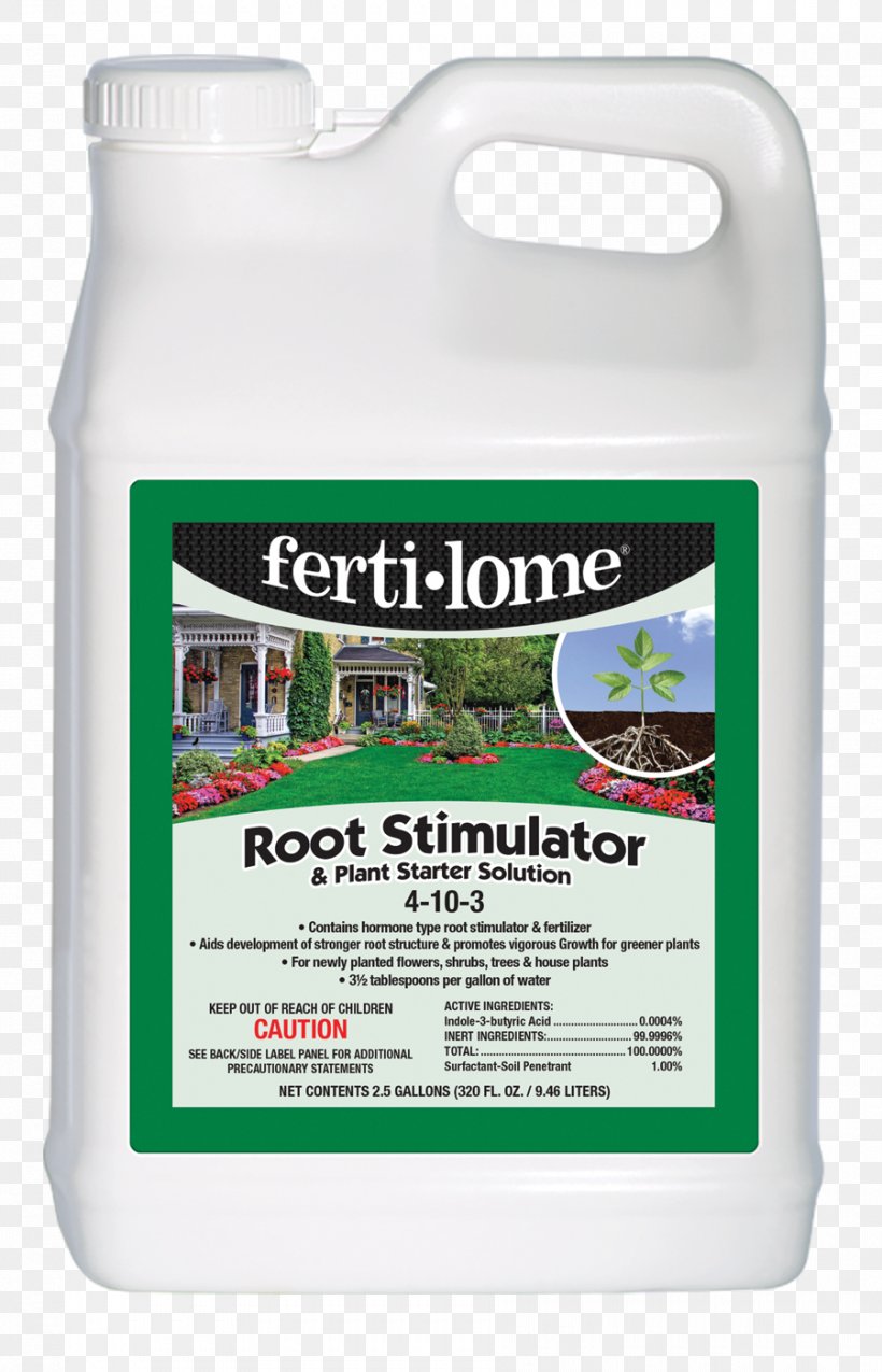Transplanting Root Fertilisers Soil Garden, PNG, 900x1400px, Transplanting, Azalea, Fertilisers, Food, Fruit Tree Download Free