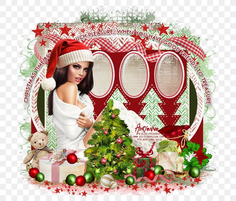 Christmas Ornament Snow Globes December Holiday, PNG, 700x700px, 2017, 2018, Christmas Ornament, Adrienne, Christmas Download Free