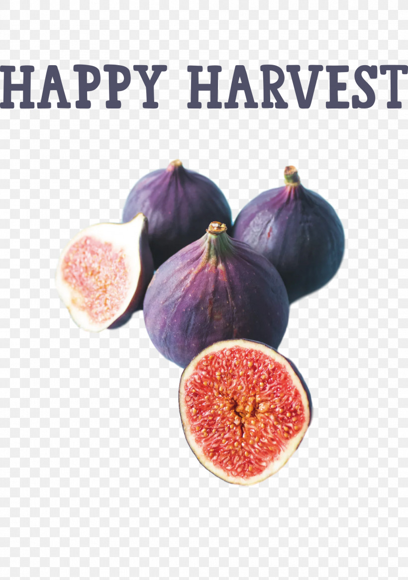 Happy Harvest Harvest Time, PNG, 2108x3000px, Happy Harvest, Fruit, Harvest Time, Ingredient, Local Food Download Free